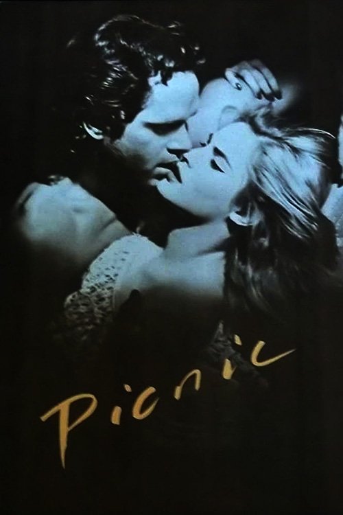 Постер Picnic